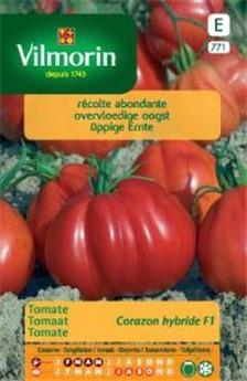 Tomate Coeur De Boeuf Corazon  (Vilm)