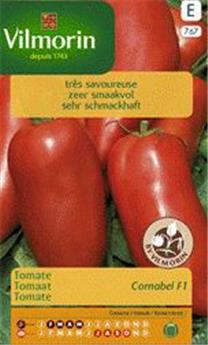 Tomate Cornabel Hf1 (Vilm)