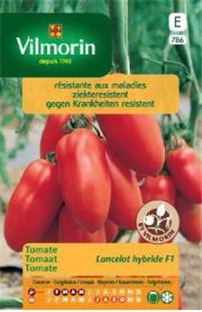 Tomate Lancelot  (Vilm)