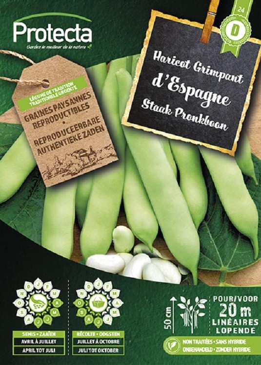 Haricot Grimpant D´ESPAGNE 125gr( Protecta D )