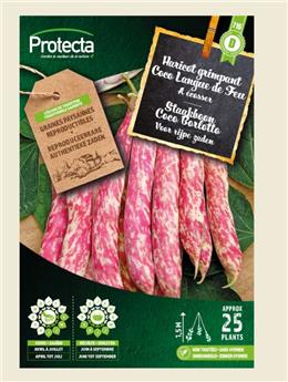 Haricot grimpant Coco langue de feu 25 g ( Protecta D )