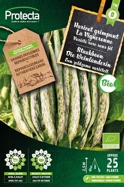 Haricot grimpant La Vigneronne FR-BIO-15 ( Protecta D )