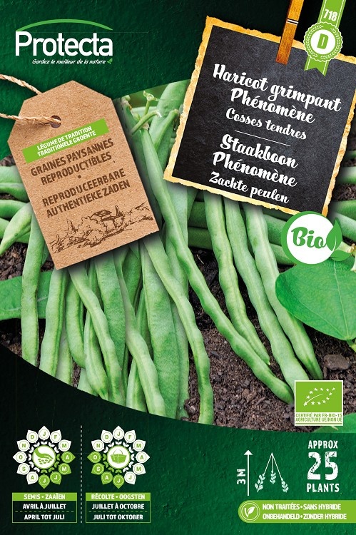Haricot grimpant Phénomène FR-BIO-15 ( Protecta D )