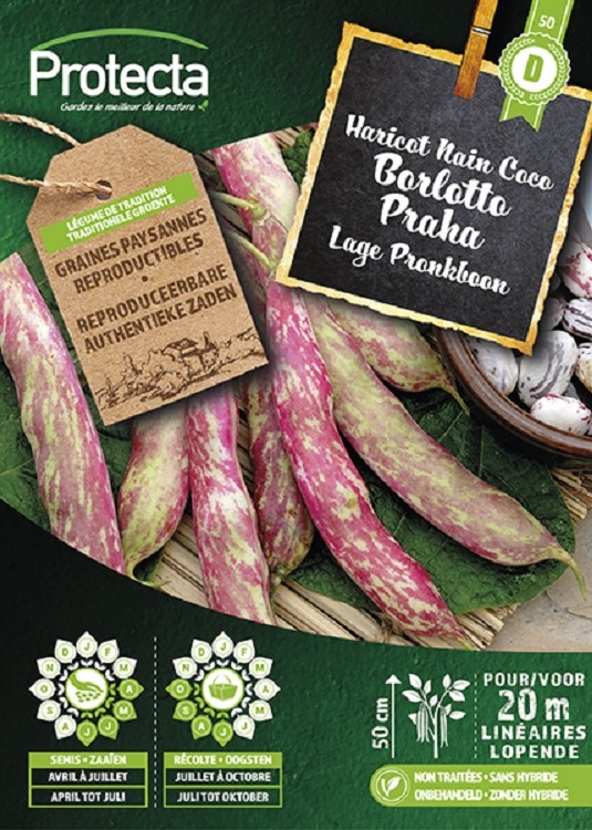 Haricot Nain Coco BORLOTTO PRAHA ( Protecta D )