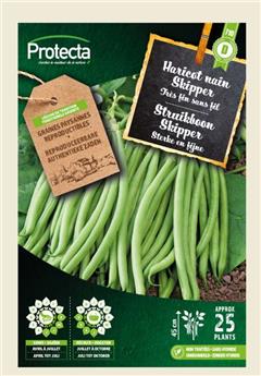 Haricot nain Skipper 35 g ( Protecta D )