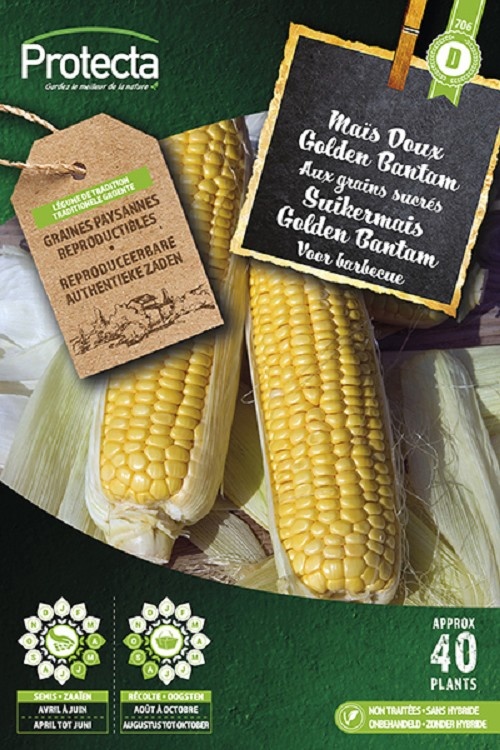 Mais Doux golden bantam XXL ( Protecta D )