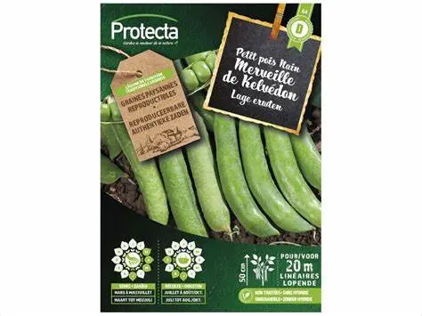 Petit Pois Nain Merveille de KELVEDON 125Gr( Protecta D )