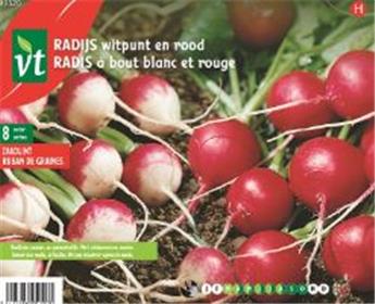Ruban De Graines Radis A Bout Blanc Et Rouge (VT)