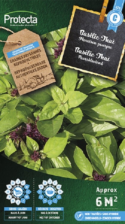 Basilic Thaï ( Protecta C )