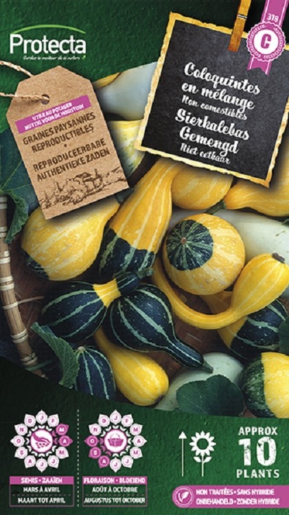 Coloquintes en mélange ( Protecta C )