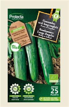 Concombre Vert long anglais FR-BIO-15 ( Protecta C )