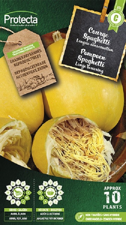 Courge Spaghetti ( Protecta C )