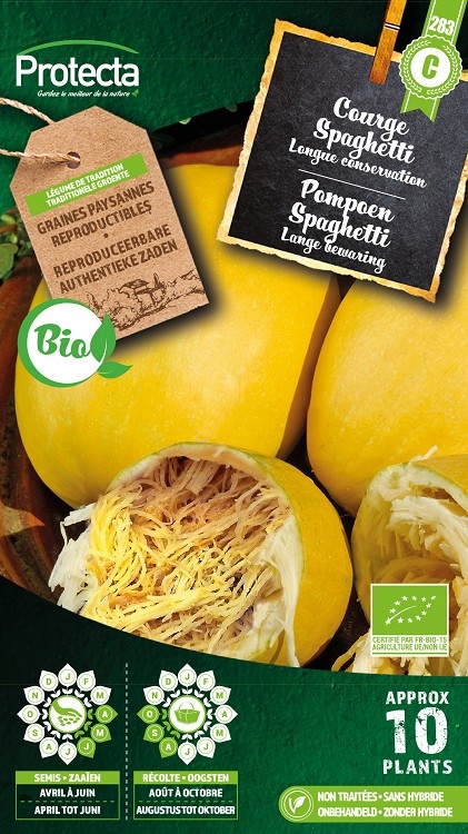 Courge Spaghetti FR-BIO-15 ( Protecta C )