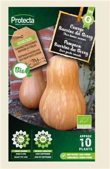Courge Sucrine du Berry FR-BIO-15 ( Protecta C )