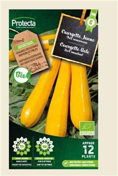 Courgette Jaune FR-BIO-15 ( Protecta C )