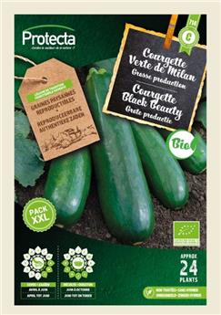 Courgette Verte de Milan FR-BIO-15 XXL ( Protecta C )