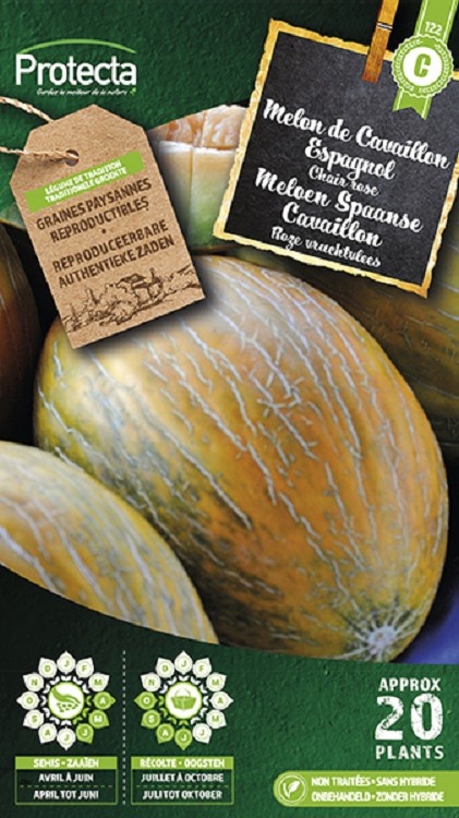 Melon de Cavaillon Espagnol à chair rose ( Protecta C )