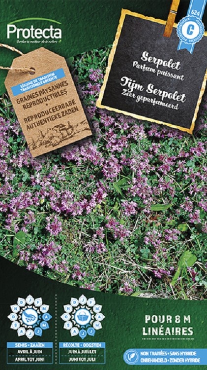 Serpolet ( Protecta C )