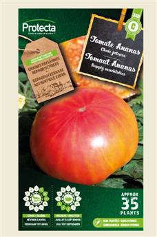 Tomate ananas ( Protecta C )