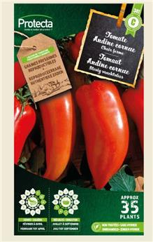 Tomate andine cornue ( Protecta C )