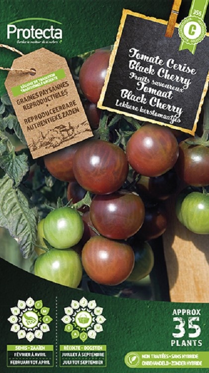 Tomate Black Cherry ( Protecta C )
