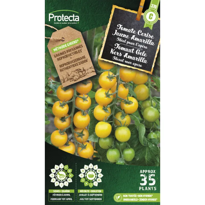 Tomate Cerise Jaune Amarilla ( Protecta C )