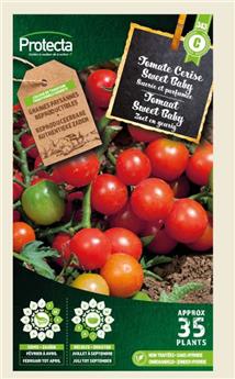 Tomate Cerise Sweet Baby ( Protecta C )