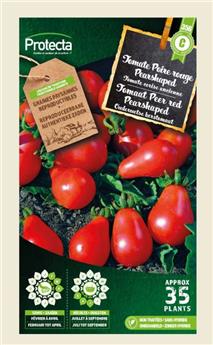 Tomate Cerise yellow Pearshapped ( Protecta C )