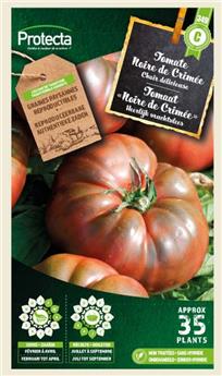 Tomate noire de Crimée ( Protecta C )