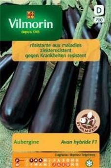Aubergine Avan Hf1  (Vilm)