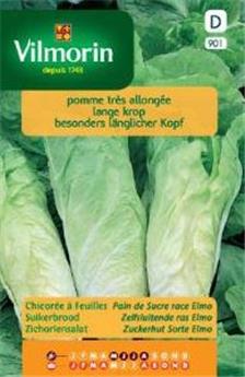 Chicorée À Feuilles Pain De Sucre Race Elmo  (Vilm)