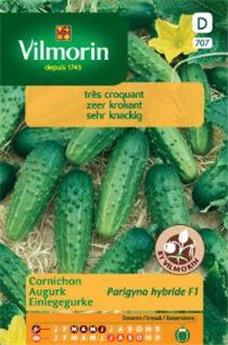 Cornichon Parigyno Hf1 (Vilm)