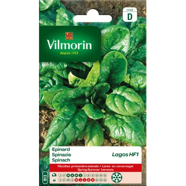 Epinard Lagos Nouveau (Vilm)