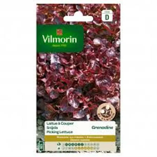 Laitue À Couper Feuille De Chêne Grenadine (Vilm)