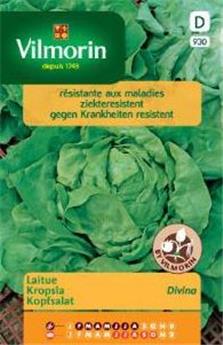 Laitue Divina (Vilm)