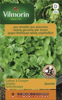 Laitue Querido (Vilm)