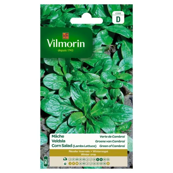 Mâche Verte De Cambrai (Vilm)