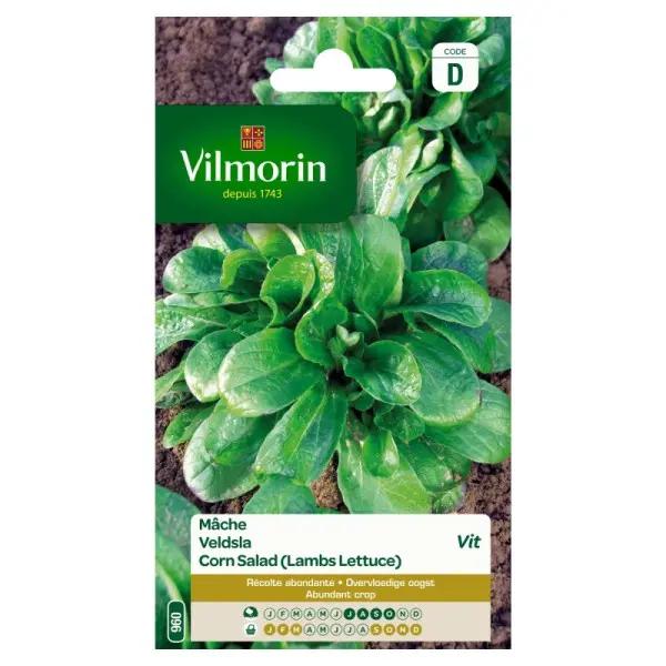 Mâche Vit (Vilm)
