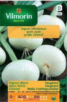 Oignon Blanc De Vaugirard  (Vilm)