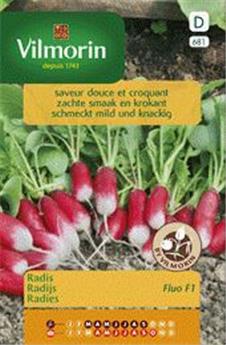 Radis Fluo Hf1  (Vilm)