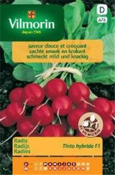 Radis Tinto Hf1 (Vilm)