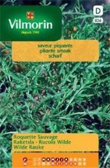 Roquette Sauvage (Vilm)