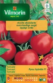 Tomate Pyros Hf1  (Vilm)