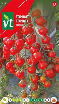 Tomate Crokini (VT)