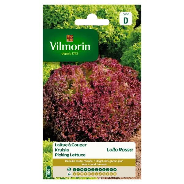 Laitue Batavia Lollo Rossa (Vilm)