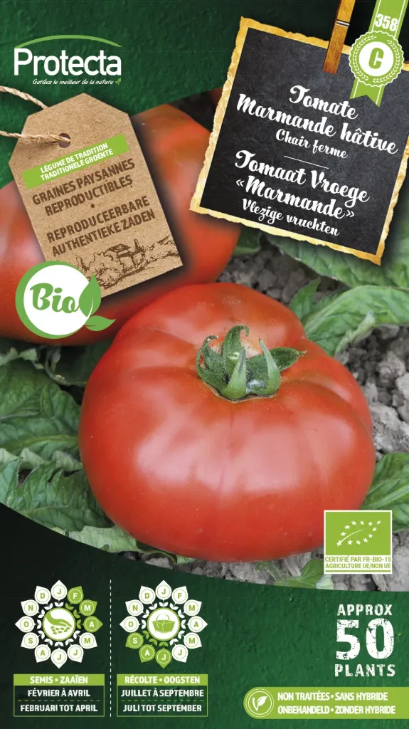 Tomate Marmande hâtive FR-BIO-15 ( Protecta C )