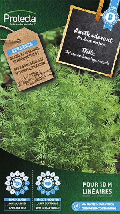 Aneth odorant ( Protecta B ). Anethum graveolens