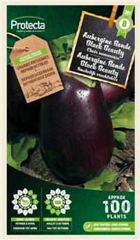 Aubergine Ronde Black Beauty ( Protecta B )