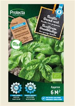 Basilic Grand vert FR-BIO-15 ( Protecta B )