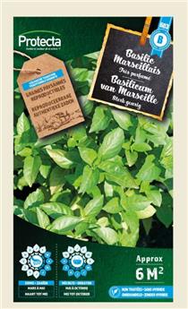 Basilic Parfumé Marseillais ( Protecta B )